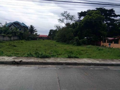 FOR SALE: Lot / Land / Farm Iloilo