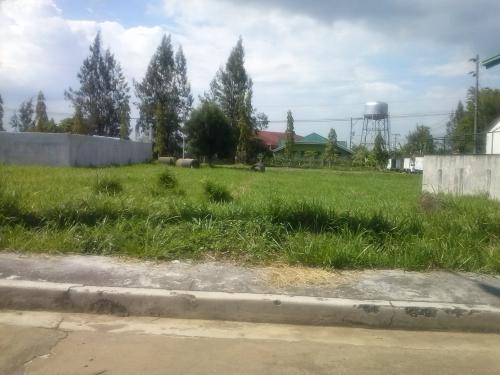 FOR SALE: Lot / Land / Farm Laguna > Calamba 7
