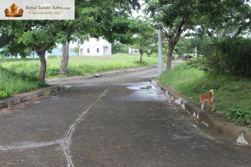 FOR SALE: Lot / Land / Farm Cebu > Other areas 2
