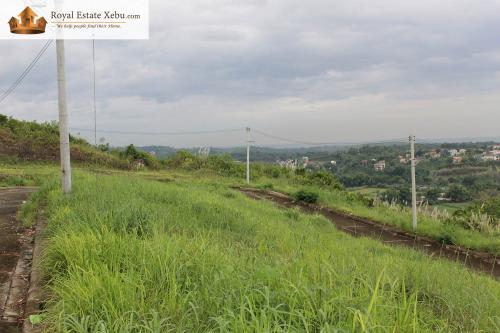 FOR SALE: Lot / Land / Farm Cebu > Other areas 3