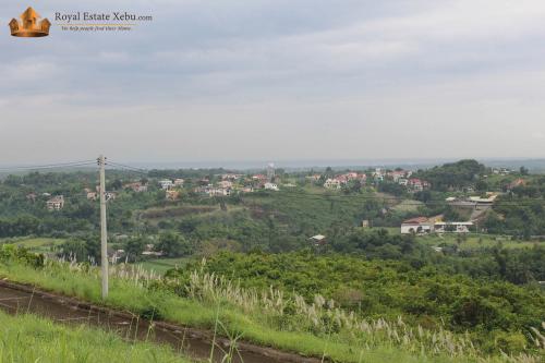 FOR SALE: Lot / Land / Farm Cebu > Other areas 4