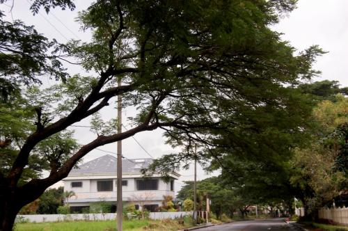 The Orchard Dasmarinas Cavite phase 1