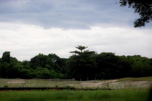 The Orchard Dasmarinas Cavite fairway