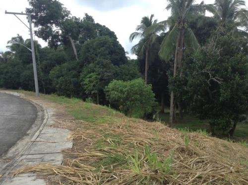 FOR SALE: Lot / Land / Farm Batangas > Lipa City 3