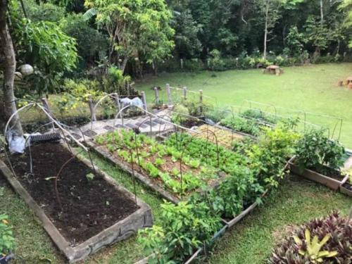 FOR SALE: Lot / Land / Farm Batangas 4