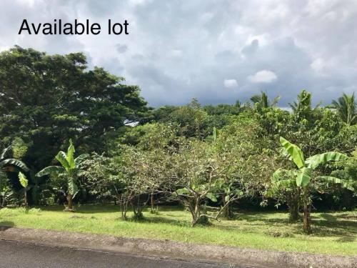 FOR SALE: Lot / Land / Farm Batangas 9