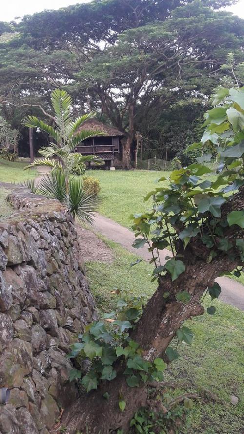 FOR SALE: Lot / Land / Farm Batangas 3