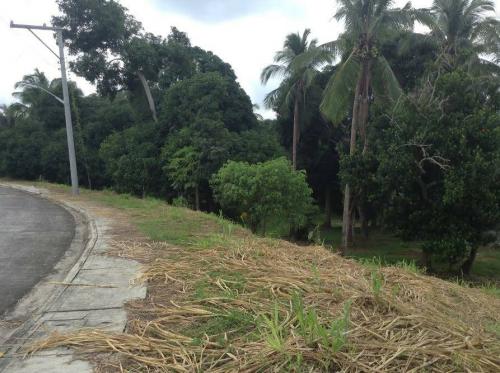 FOR SALE: Lot / Land / Farm Batangas > Lipa City