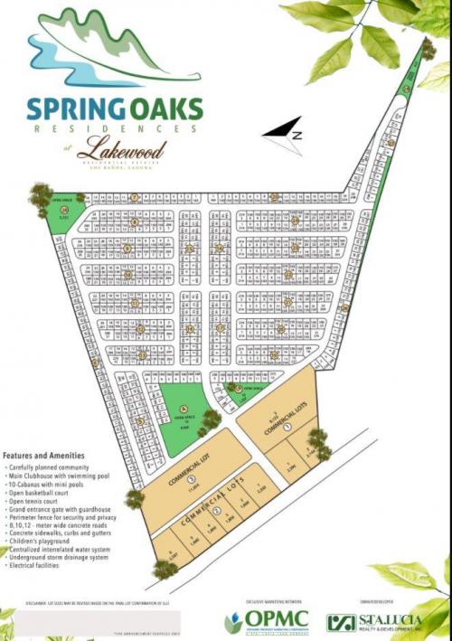 FOR SALE: Lot / Land / Farm Laguna > Los Banos 1