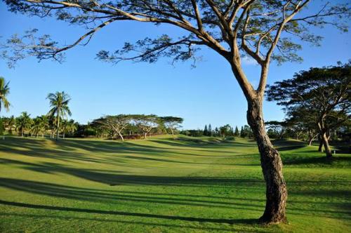 FOR SALE: Lot / Land / Farm Batangas > Lipa City 5