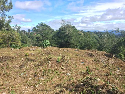 FOR SALE: Lot / Land / Farm Benguet > Baguio 1