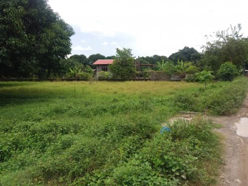 92sqm lot for sale