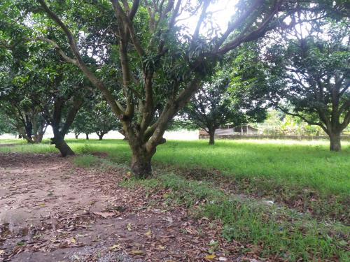 284sqm farmlot for sale