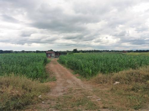 2.7has farmlot for sale san jose malino mexico pampanga