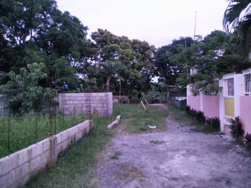 5000sqm farmlot for sale san lorenzo mexico pampanga