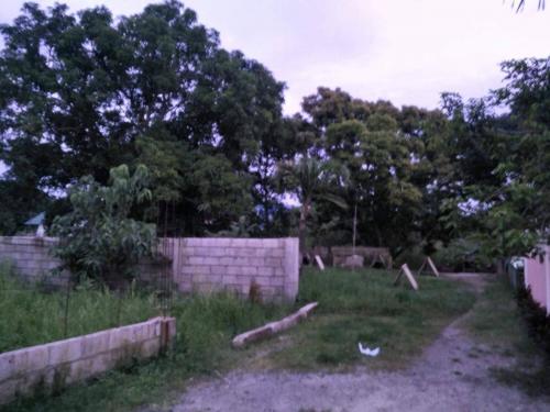 5000sqm farmlot for sale san lorenzo mexico pampanga