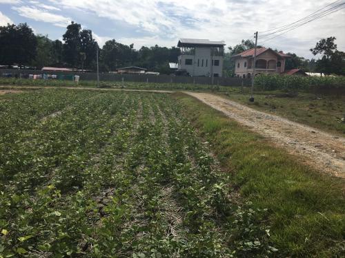FOR SALE: Apartment / Condo / Townhouse La Union