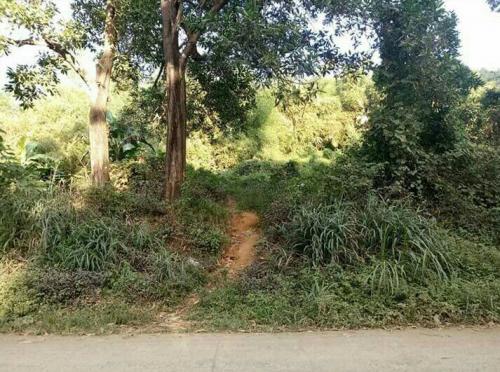 FOR SALE: Lot / Land / Farm Rizal