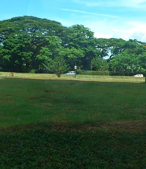 FOR SALE: Lot / Land / Farm Manila Metropolitan Area