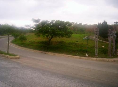 FOR SALE: Lot / Land / Farm Rizal > Antipolo 4