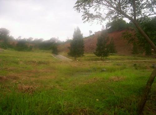 FOR SALE: Lot / Land / Farm Rizal > Antipolo 6