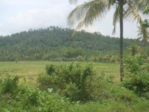 FOR SALE: Lot / Land / Farm Davao