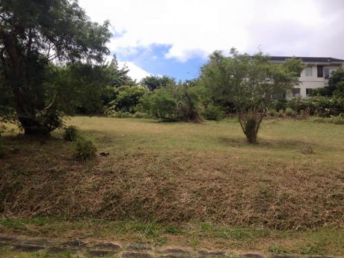 FOR SALE: Lot / Land / Farm Laguna > Calamba