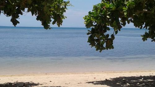 FOR SALE: Lot / Land / Farm Batangas > Other areas 1