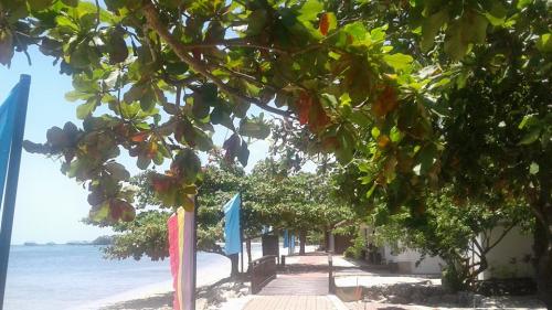 FOR SALE: Lot / Land / Farm Batangas > Other areas 4