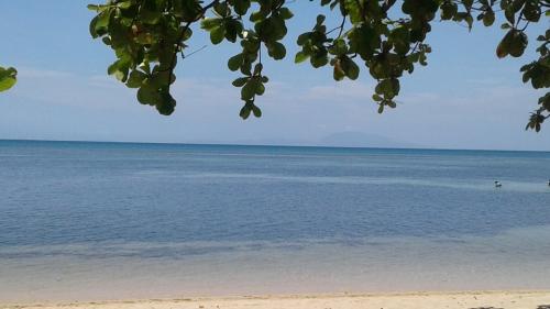 FOR SALE: Lot / Land / Farm Batangas > Other areas 10