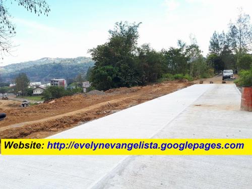 FOR SALE: Lot / Land / Farm Rizal > Antipolo 3