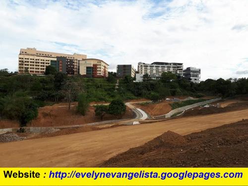 FOR SALE: Lot / Land / Farm Rizal > Antipolo 4