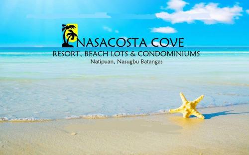 FOR SALE: Apartment / Condo / Townhouse Batangas 22