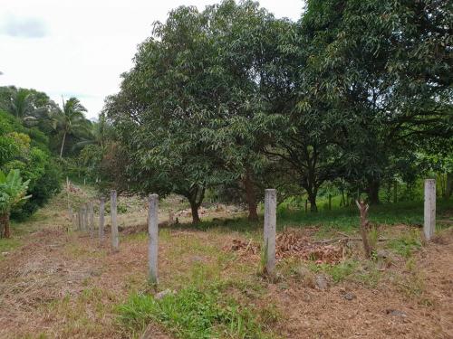 FOR SALE: Lot / Land / Farm Davao
