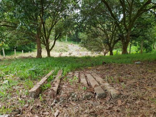 FOR SALE: Lot / Land / Farm Davao 1