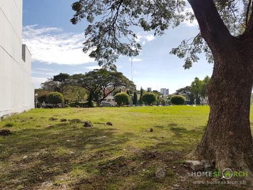 FOR SALE: Lot / Land / Farm Manila Metropolitan Area