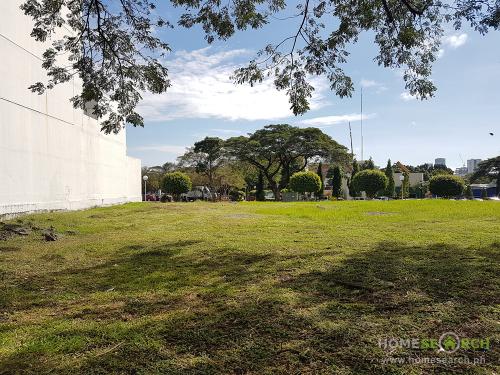 FOR SALE: Lot / Land / Farm Manila Metropolitan Area 1