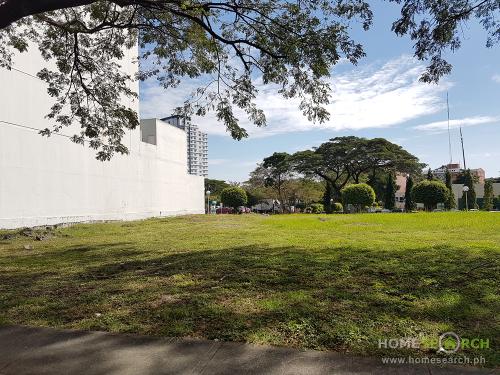 FOR SALE: Lot / Land / Farm Manila Metropolitan Area 2