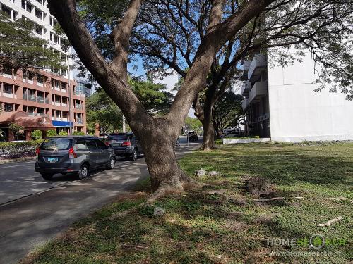 FOR SALE: Lot / Land / Farm Manila Metropolitan Area 4
