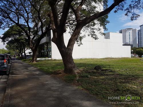FOR SALE: Lot / Land / Farm Manila Metropolitan Area 5