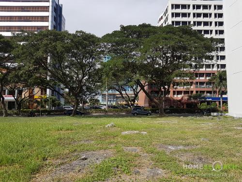 FOR SALE: Lot / Land / Farm Manila Metropolitan Area 6