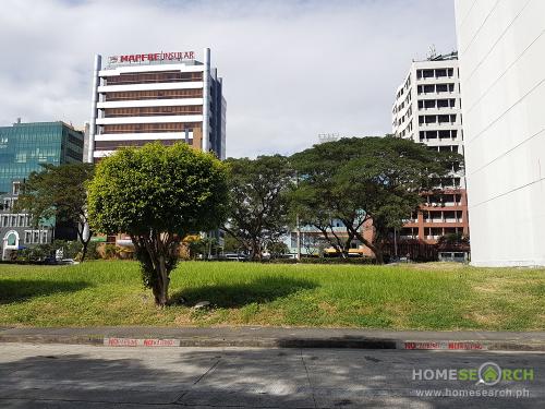 FOR SALE: Lot / Land / Farm Manila Metropolitan Area 7
