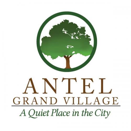 antel grand