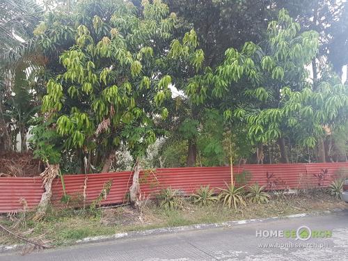 FOR SALE: Lot / Land / Farm Manila Metropolitan Area > Paranaque