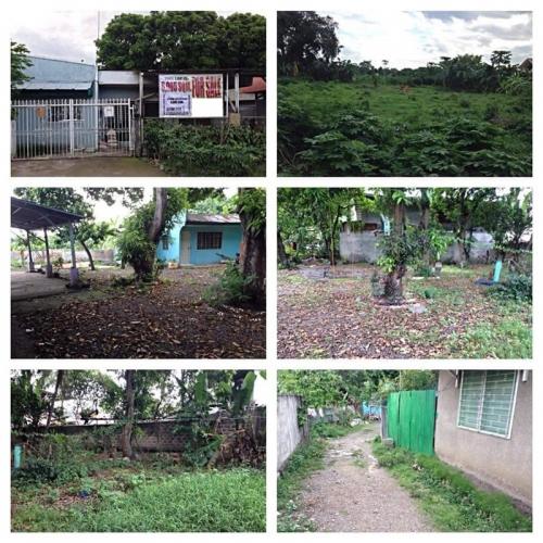 FOR SALE: Lot / Land / Farm Cebu