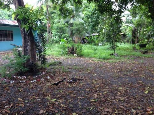 FOR SALE: Lot / Land / Farm Cebu 3