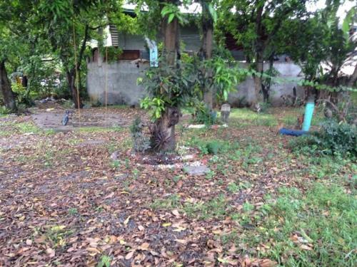 FOR SALE: Lot / Land / Farm Cebu 4