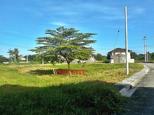 FOR SALE: Lot / Land / Farm Cebu > Mactan 3