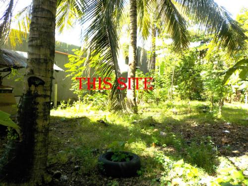 FOR SALE: Lot / Land / Farm Cebu > Mactan 1