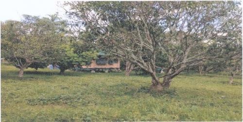 FOR SALE: Lot / Land / Farm Batangas > Lipa City